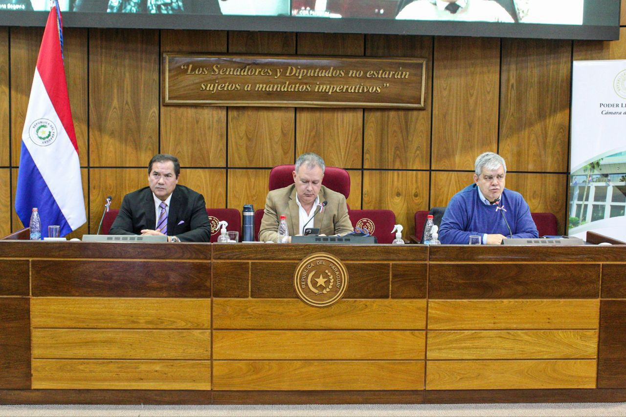 Prof. Dr. Javier Parquet Villagra participó en la Audiencia Pública realizada en la Honorable Cámara de Senadores.